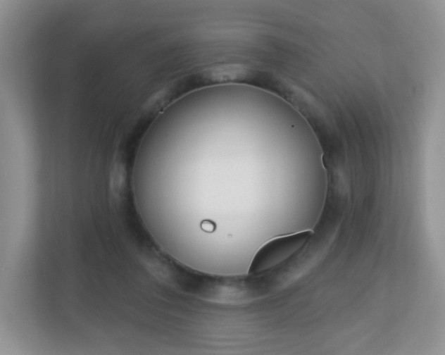 X0000110920308200906251423