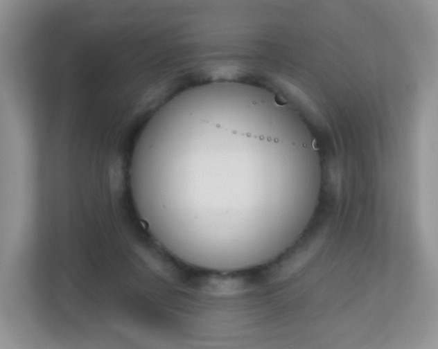 X0000110920311200906251423