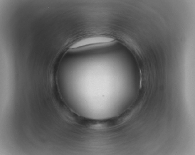 X0000110920312200906251423
