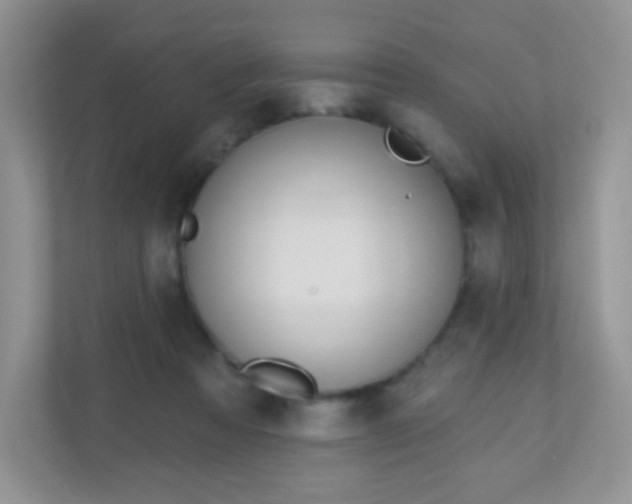 X0000110920313200906251423