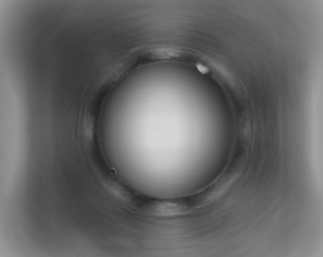 X0000110920315200906251423