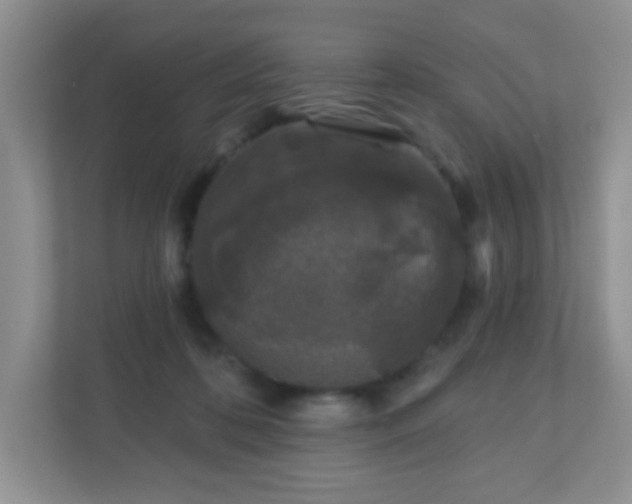 X0000110920316200906251423