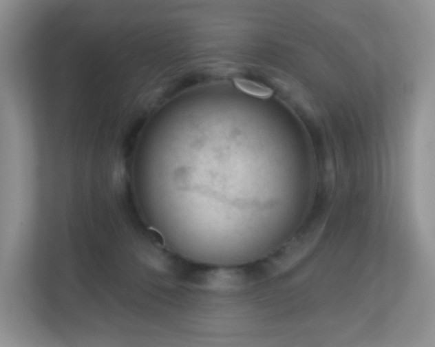 X0000110920320200906251423