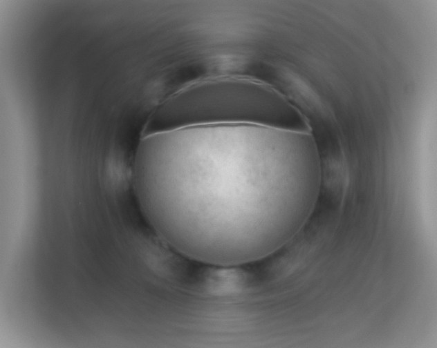 X0000110920324200906251423