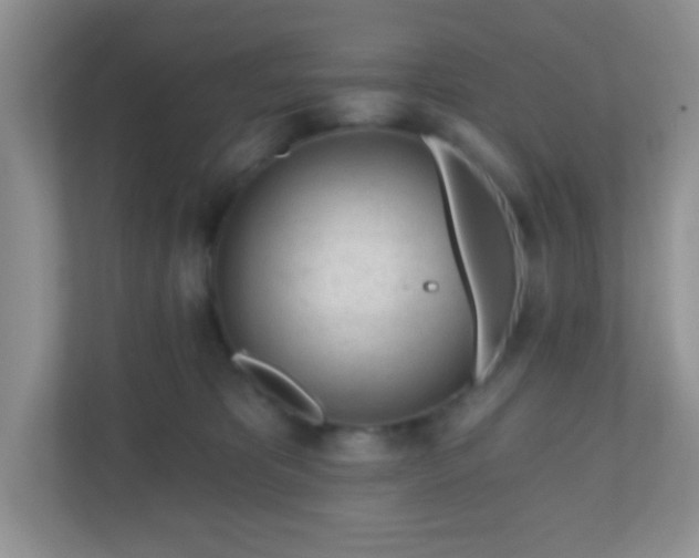 X0000110920325200906251423