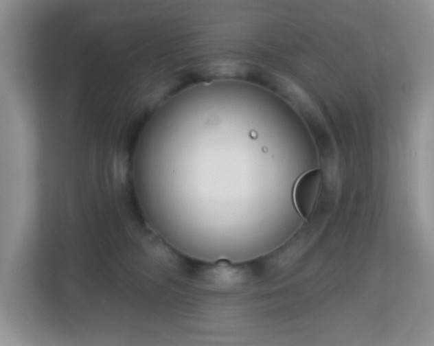 X0000110920326200906251423
