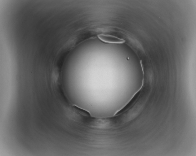X0000110920328200906251423