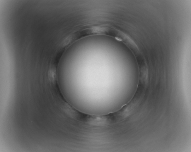 X0000110920329200906251423