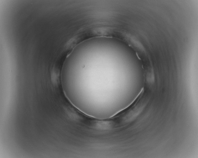 X0000110920332200906251423