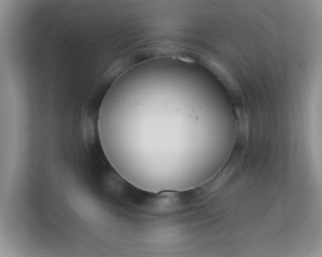X0000110920333200906251423