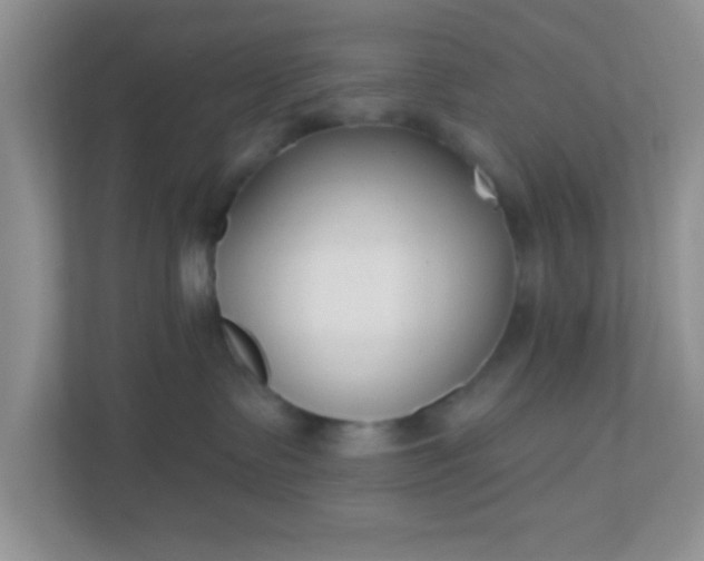 X0000110920335200906251423