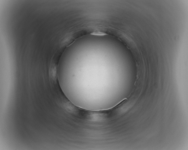 X0000110920336200906251423