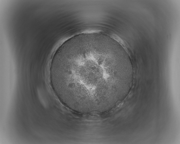 X0000110920337200906251422