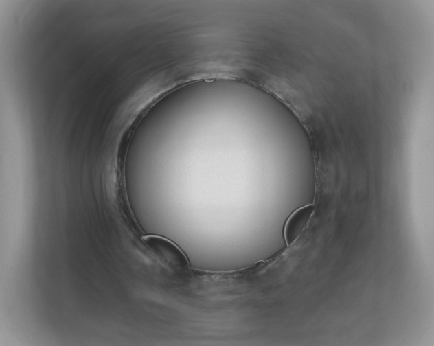 X0000110920338200906251422