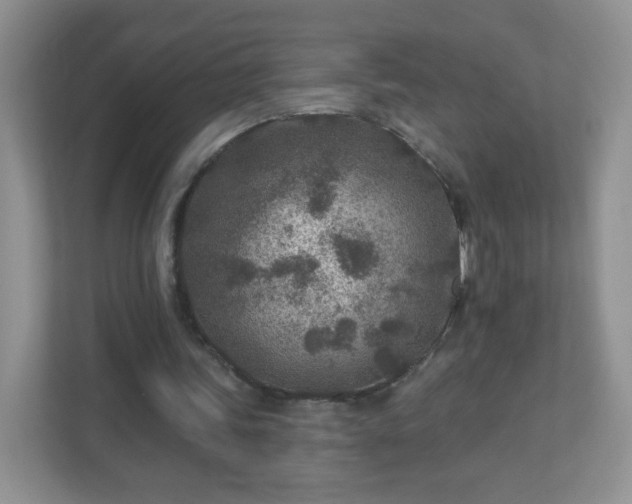 X0000110920339200906251422