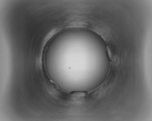 X0000110920340200906251422