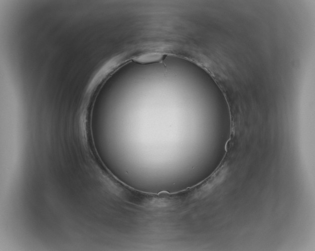 X0000110920341200906251422