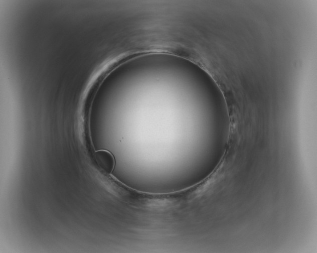 X0000110920342200906251422