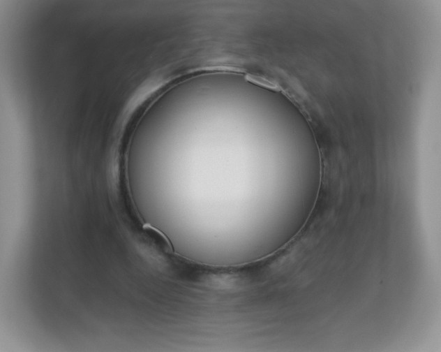 X0000110920344200906251422
