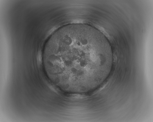 X0000110920347200906251422