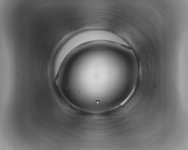 X0000110920348200906251422