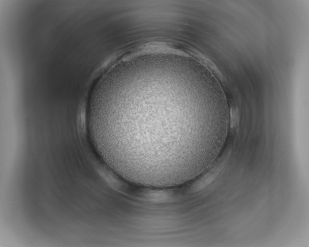 X0000110920349200906251422