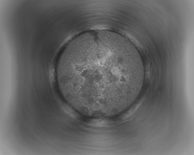 X0000110920351200906251422