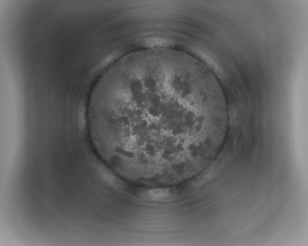 X0000110920353200906251422