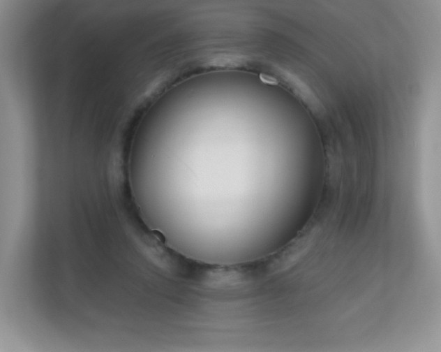 X0000110920354200906251423
