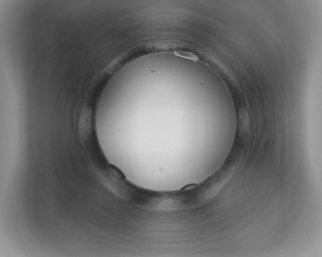 X0000110920356200906251423