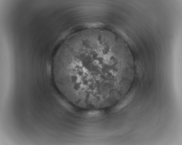 X0000110920357200906251423