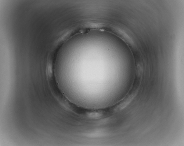 X0000110920358200906251423