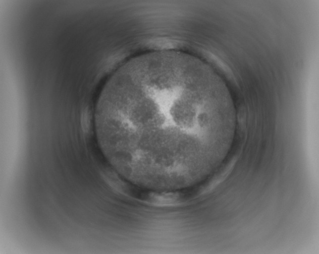 X0000110920359200906251423