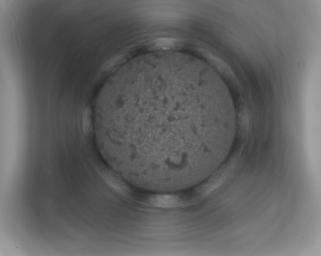 X0000110920361200906251423
