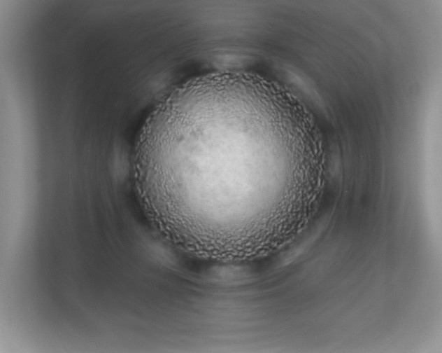 X0000110920367200906251423