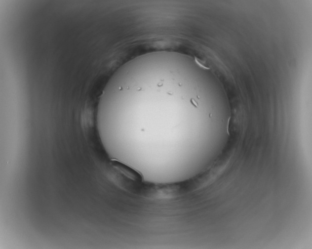 X0000110920368200906251423