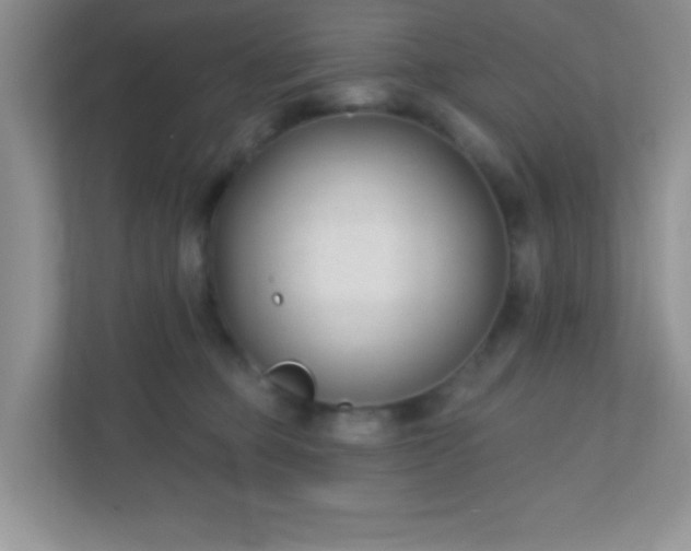 X0000110920373200906251423