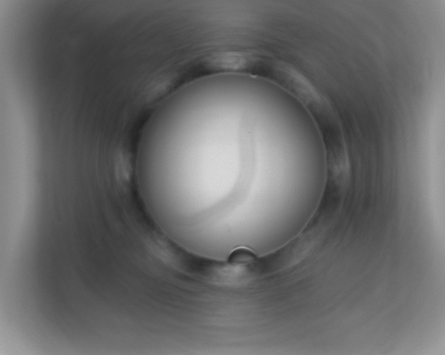 X0000110920374200906251423