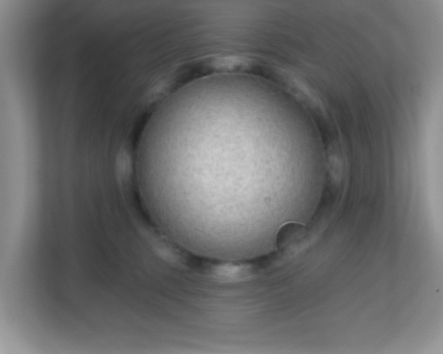 X0000110920375200906251423