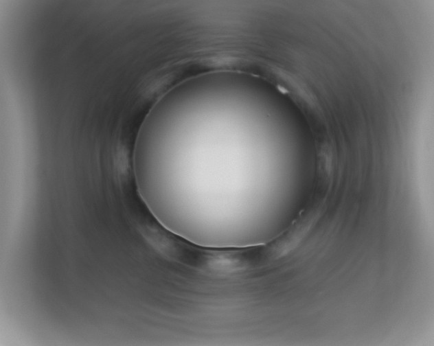 X0000110920380200906251423