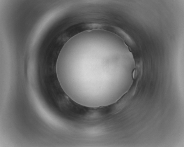 X0000110920381200906251423