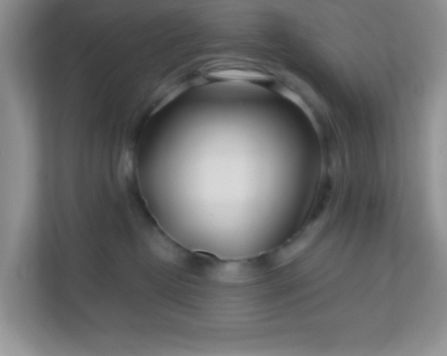 X0000110920382200906251423
