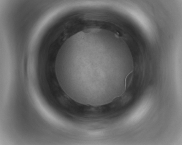 X0000110920383200906251423