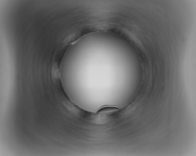 X0000110920384200906251423