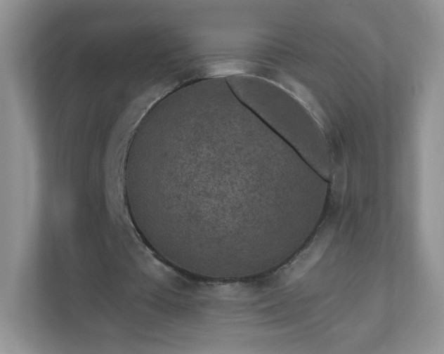 X0000110920385200906251422