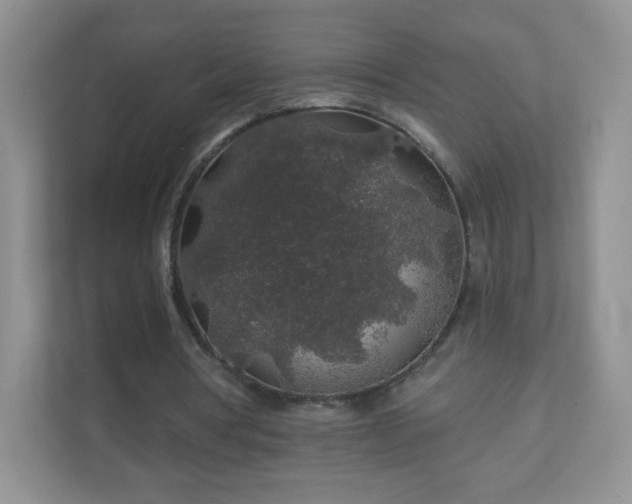 X0000110920386200906251422