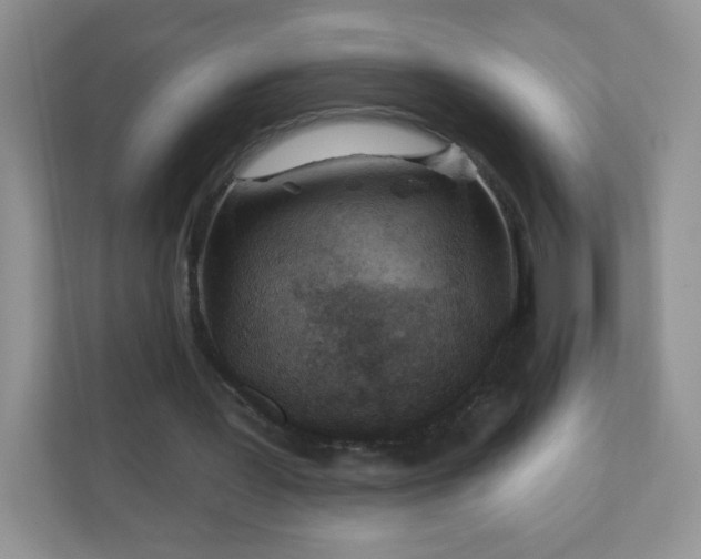 X0000110920387200906251422