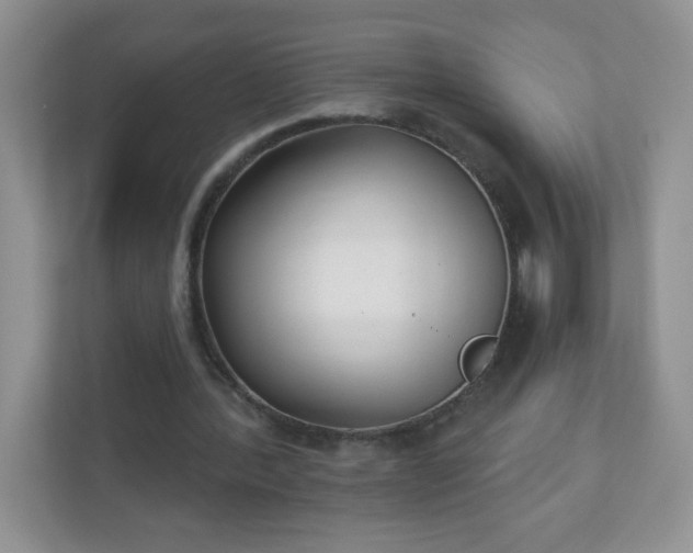 X0000110920388200906251422