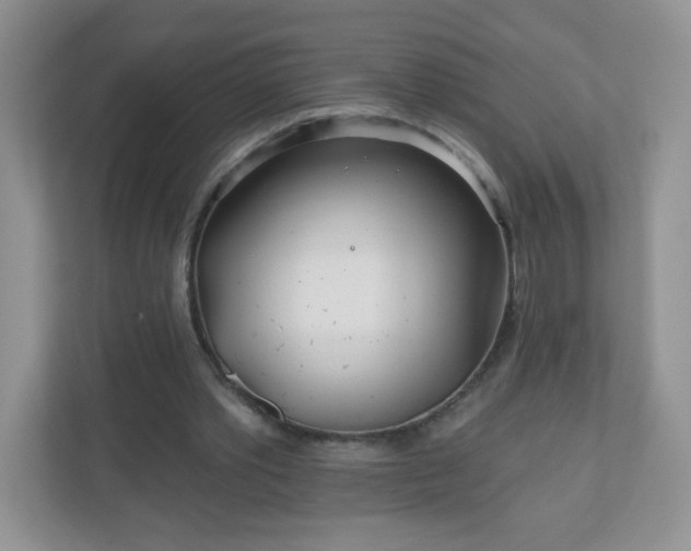 X0000110920389200906251422