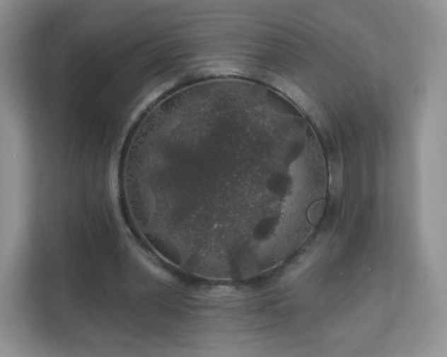 X0000110920390200906251422